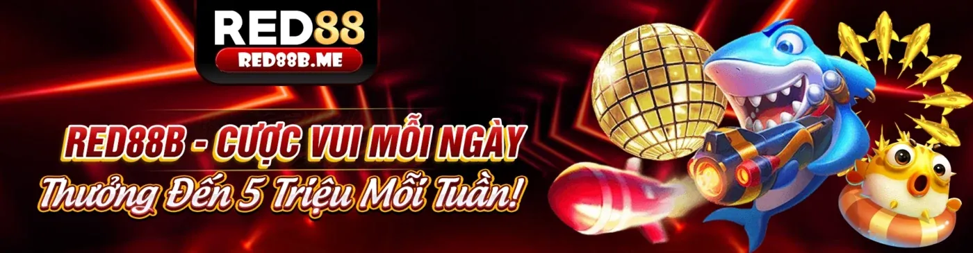 Hình ảnh chính sách cookie của vp88, bảo vệ dữ liệu người dùng