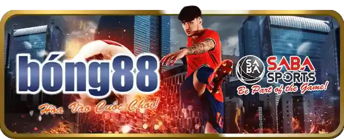 Bảo vệ người chơi vp88